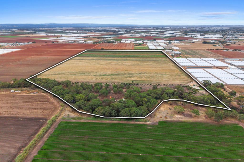 166 Robinson Rd, Virginia, SA 5120