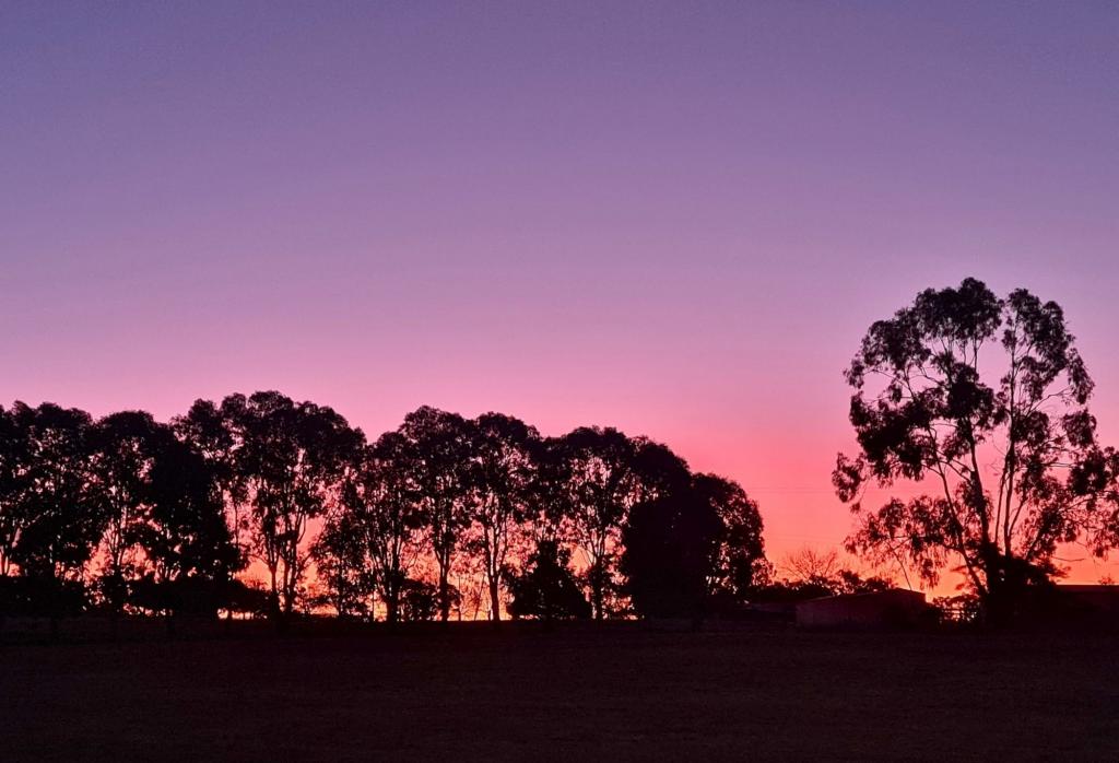 2011 Davys Plains Road, Cargo Via, Orange, NSW 2800