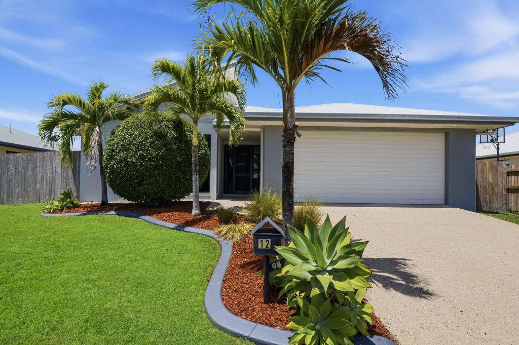 12 STONE DR, BUCASIA, QLD 4750