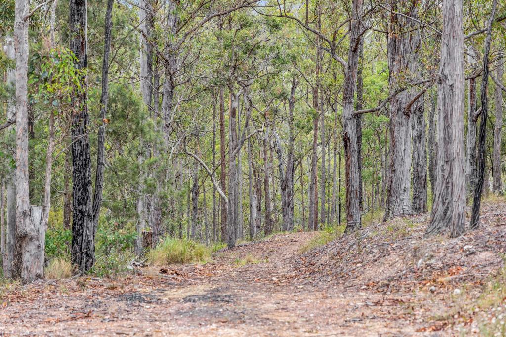 82 Barrabooka North Rd, Tanja, NSW 2550