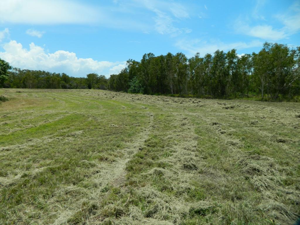 Contact Agent For Address, Bucasia, QLD 4750