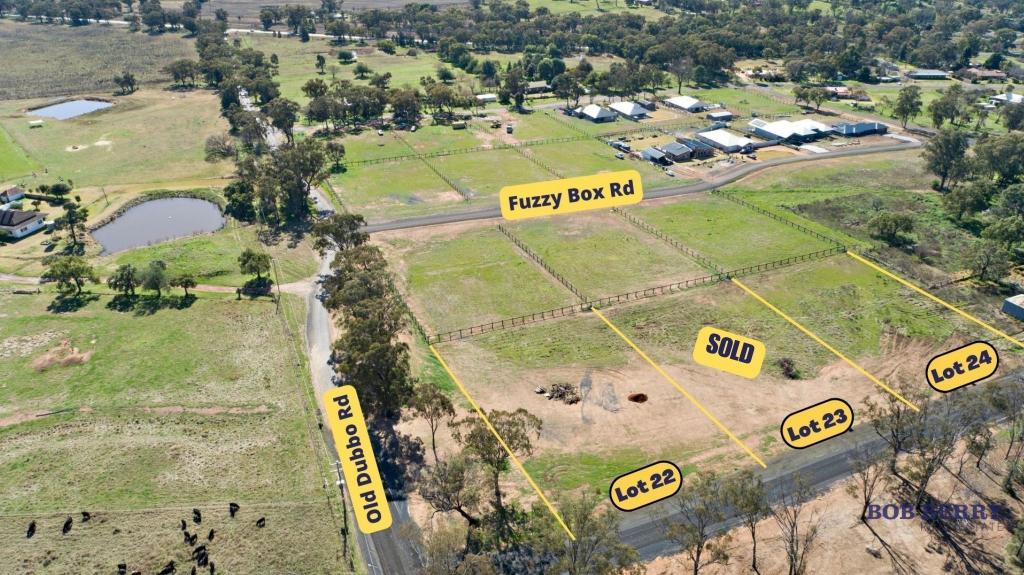 51 Old Dubbo Rd, Geurie, NSW 2818
