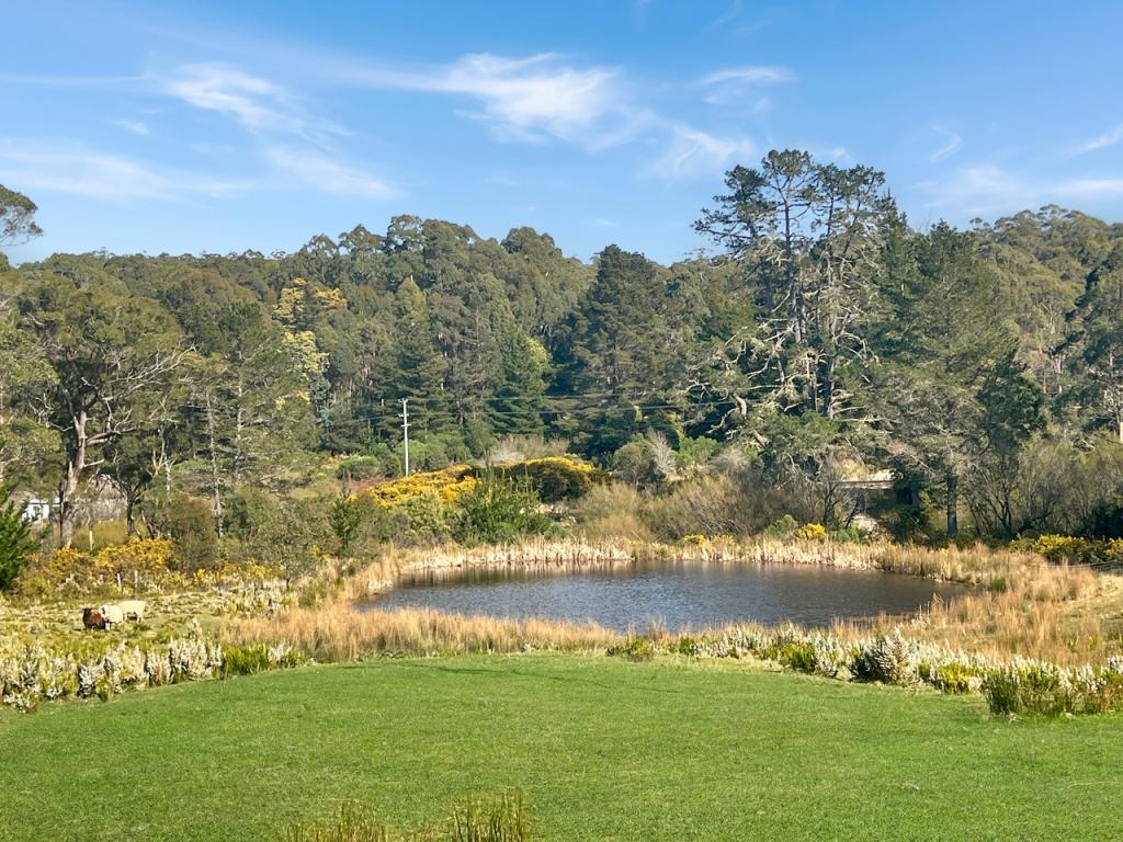 22 Gillies Rd, St Marys, TAS 7215