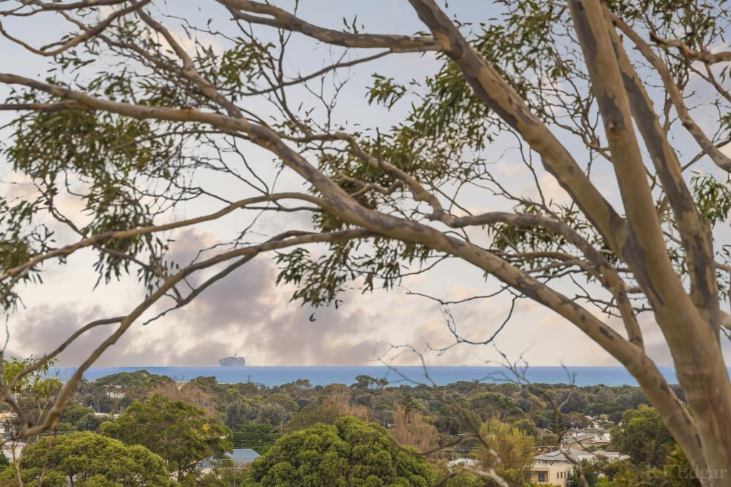 8B DRIFTWOOD ST, OCEAN GROVE, VIC 3226