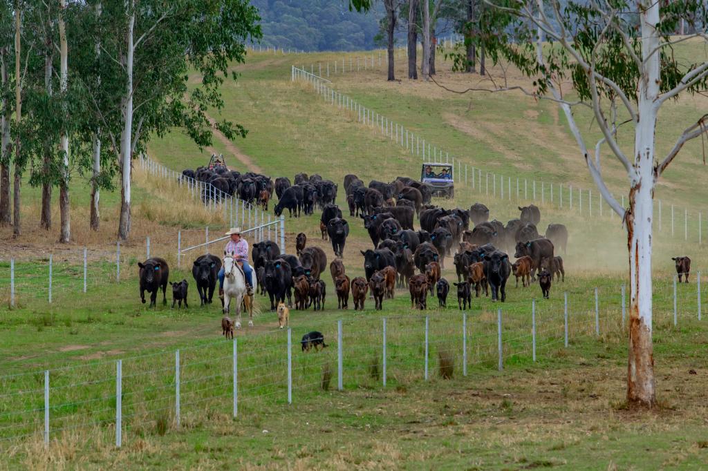 276 Farm Rd, Bonalbo, NSW 2469