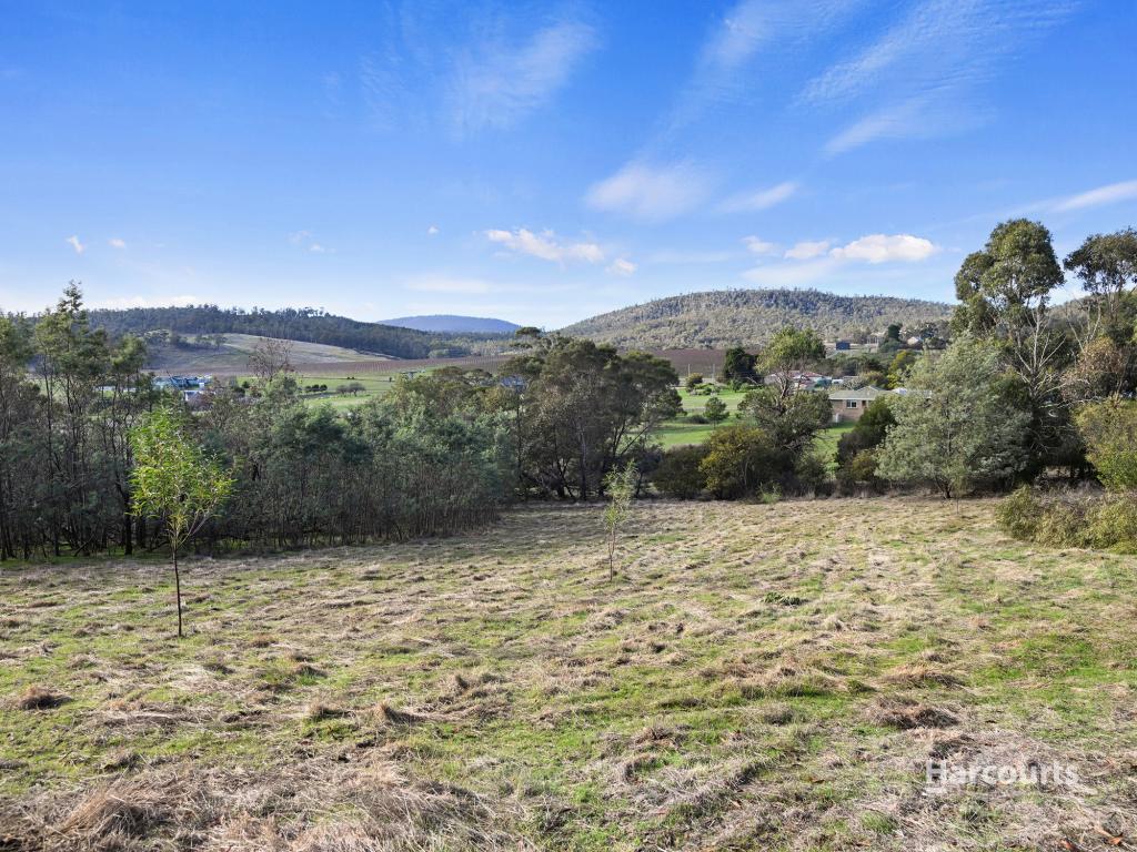 182 Gilling Brook Rd, Forcett, TAS 7173