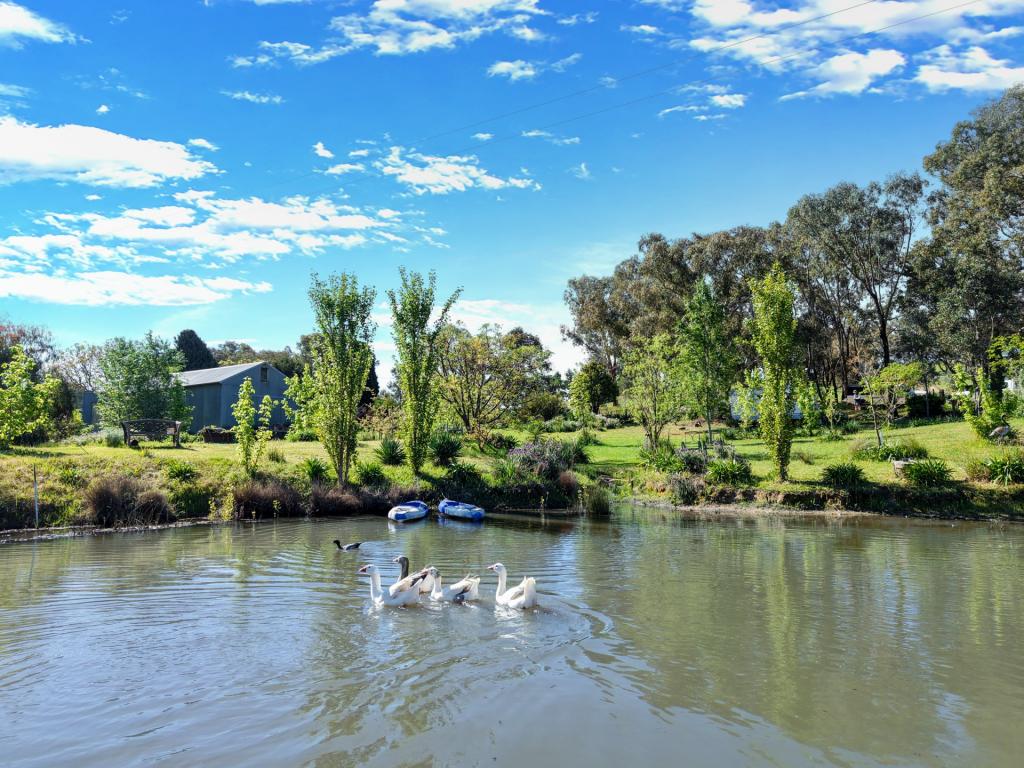 111 Forbes Lane, Young, NSW 2594