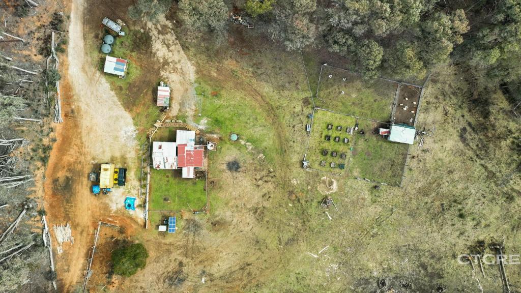 1695 Bendoc-Orbost Rd, Bendoc, VIC 3888