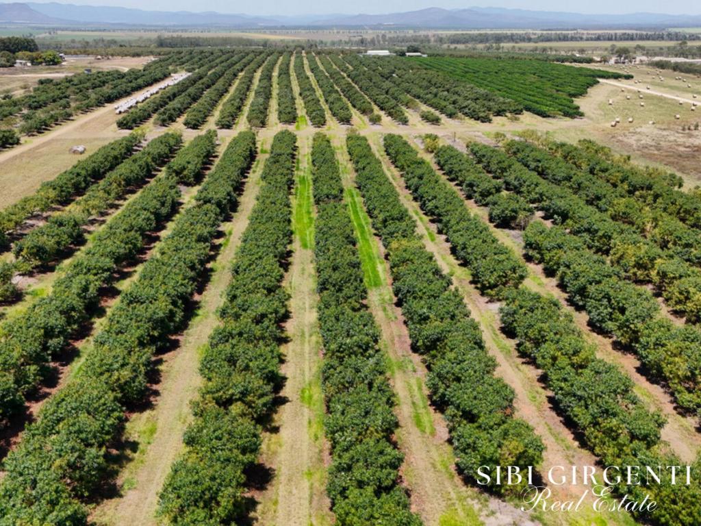 1611 Mareeba-Dimbulah Rd, Arriga, QLD 4880