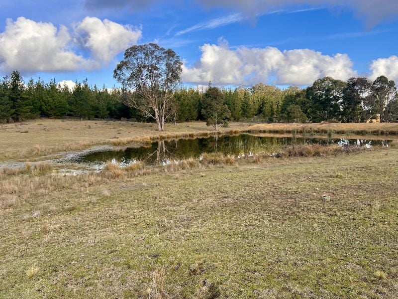 3814 Oallen Ford Rd, Windellama, NSW 2580