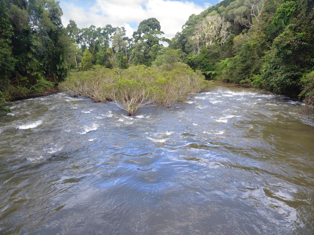 Rn928 Glen Allyn Rd, Malanda, QLD 4885