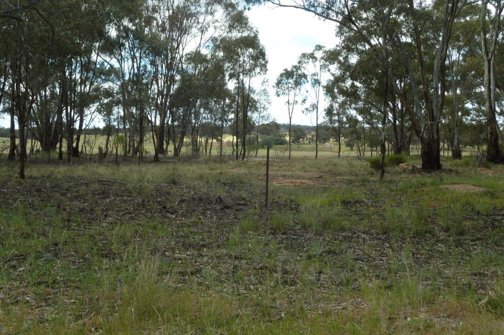 Ca9d Woolshed Flat Rd, Woolshed Flat, VIC 3518