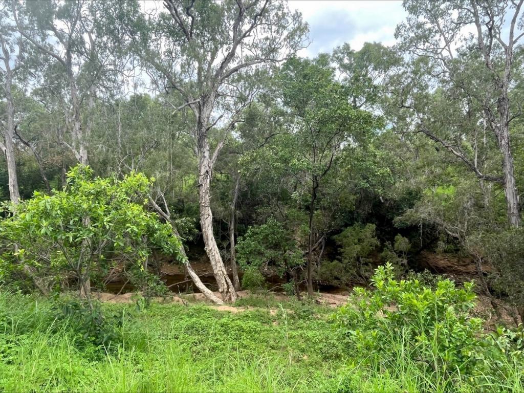 LOT 22 PENINSULA DEVELOPMENTAL RD, LAKELAND, QLD 4871