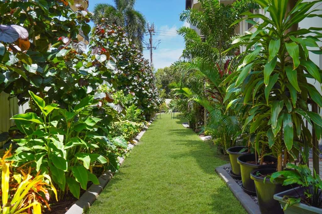 1/3 LAMBELL TCE, LARRAKEYAH, NT 0820