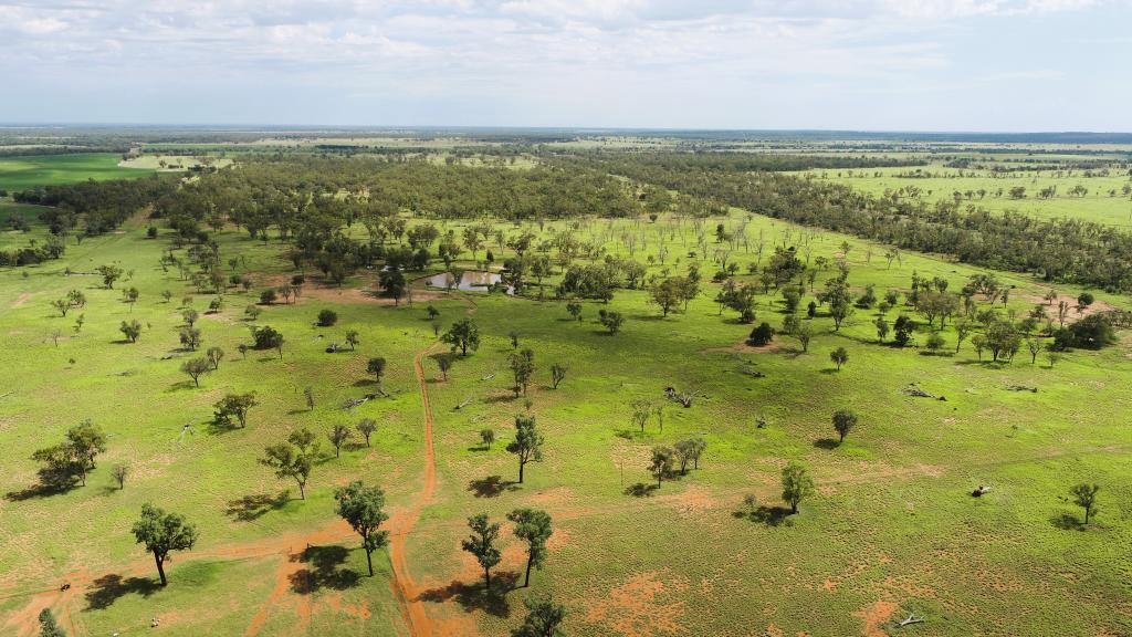 'Gundi' 19181 Carnarvon Highway Hwy, Surat, QLD 4417