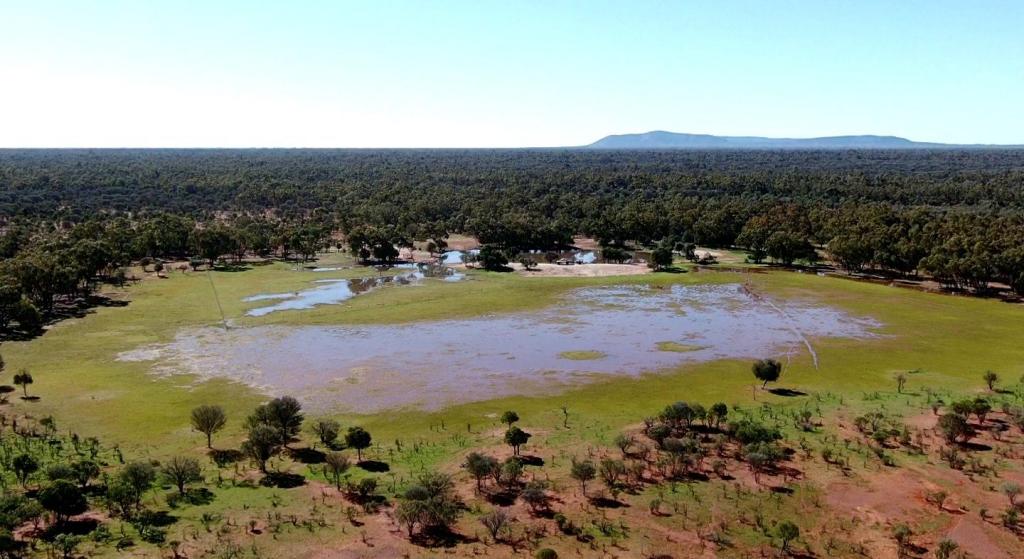 "Nardoo" Station/872 Davidson Rd, Gunderbooka, NSW 2840