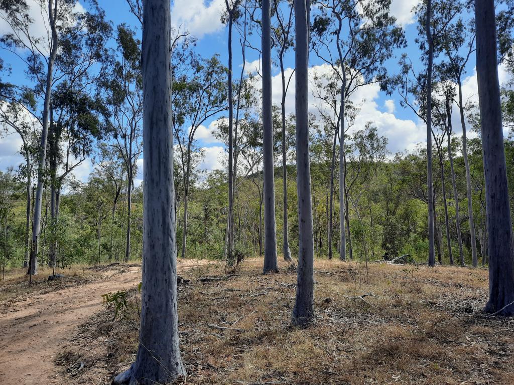 931 NEARUM RD, NEARUM, QLD 4671