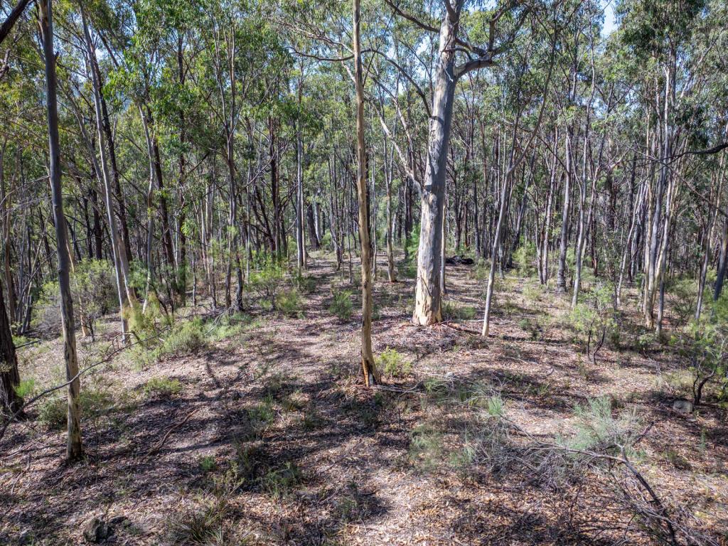 Lot 3422 Blackheath Creek Rd, Kanimbla, NSW 2790