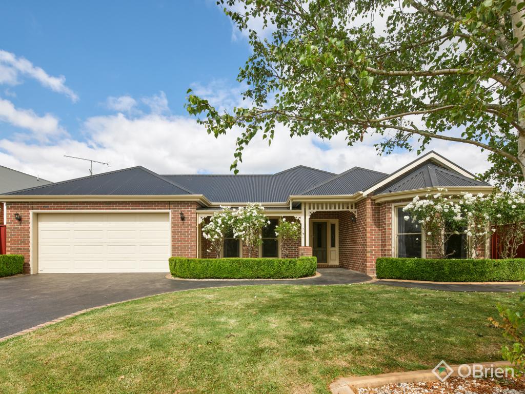 16 Wilson Ct, Trafalgar, VIC 3824