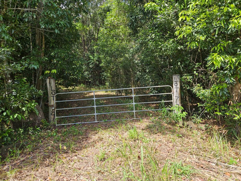 2401 Rossville Bloomfield Rd, Bloomfield, QLD 4895