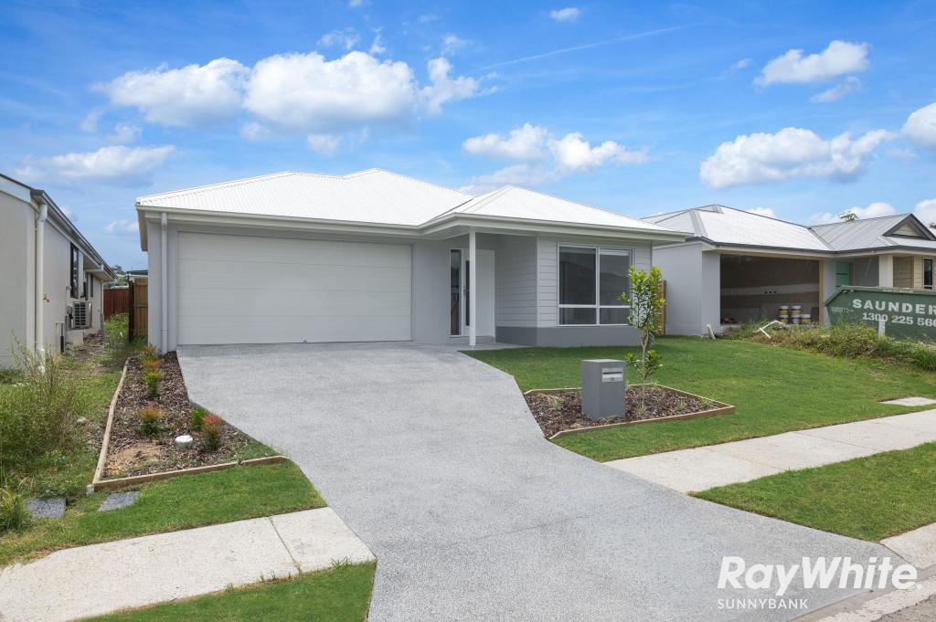 21 Basswood Cct, Park Ridge, QLD 4125