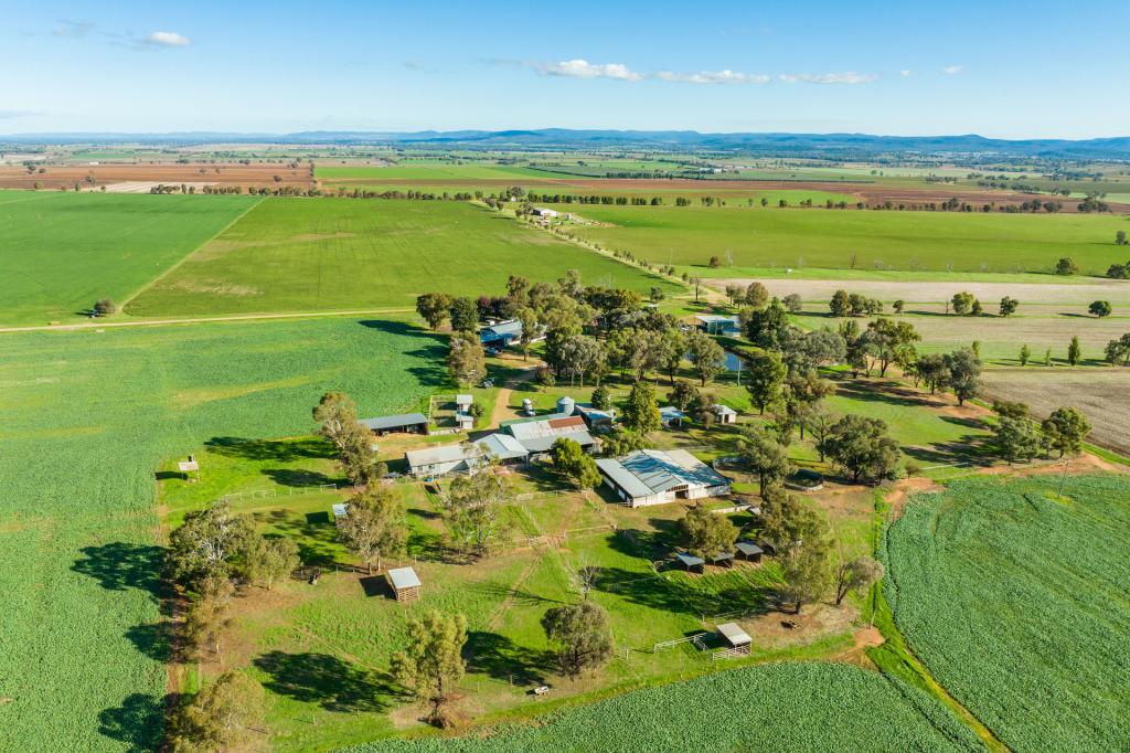 191 Troopers Rd, Canowindra, NSW 2804