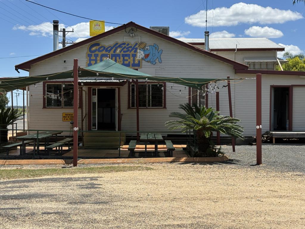 97 Warialda St, Yetman, NSW 2410