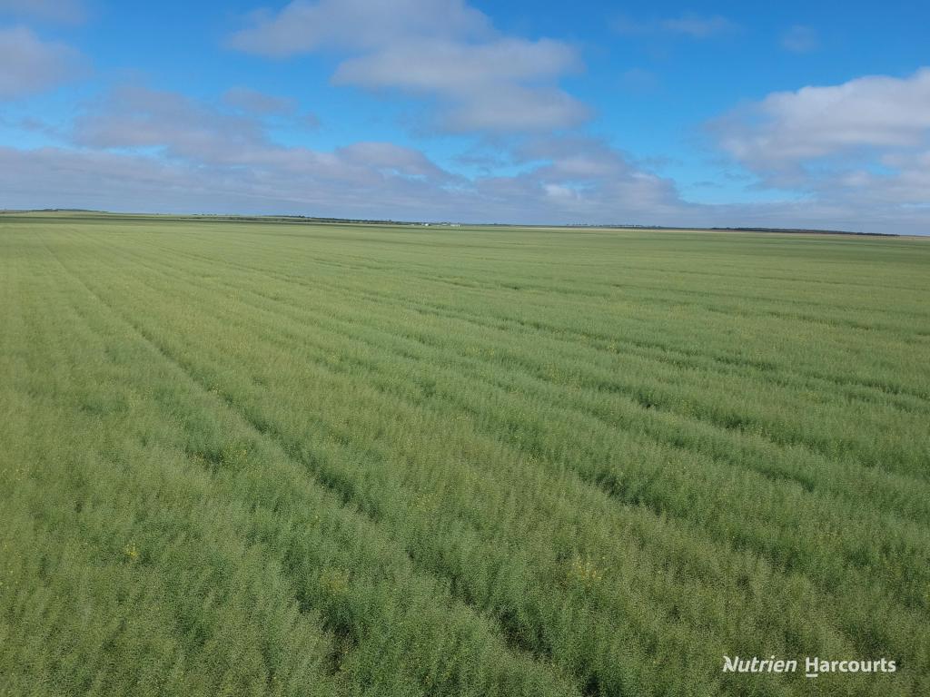 . North West Coastal Hwy, Binnu, WA 6532