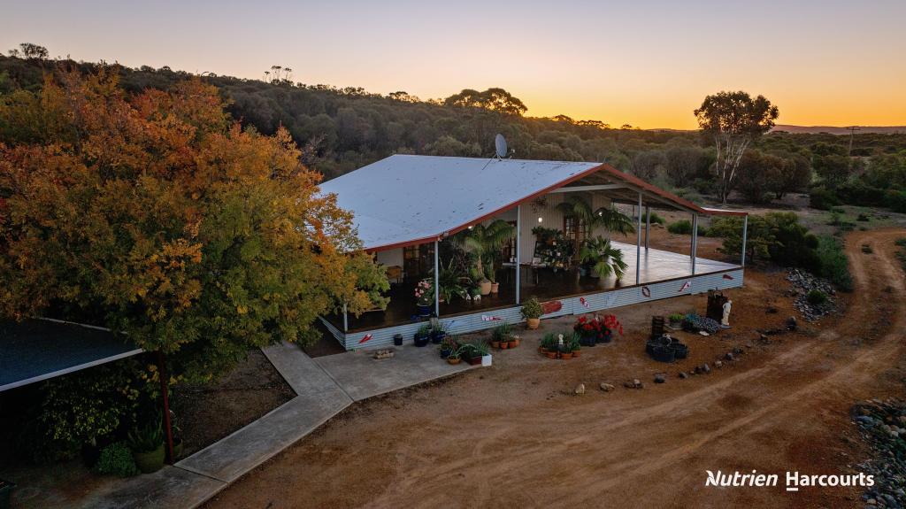 4035 HOPETOUN-RAVENSTHORPE RD, RAVENSTHORPE, WA 6346