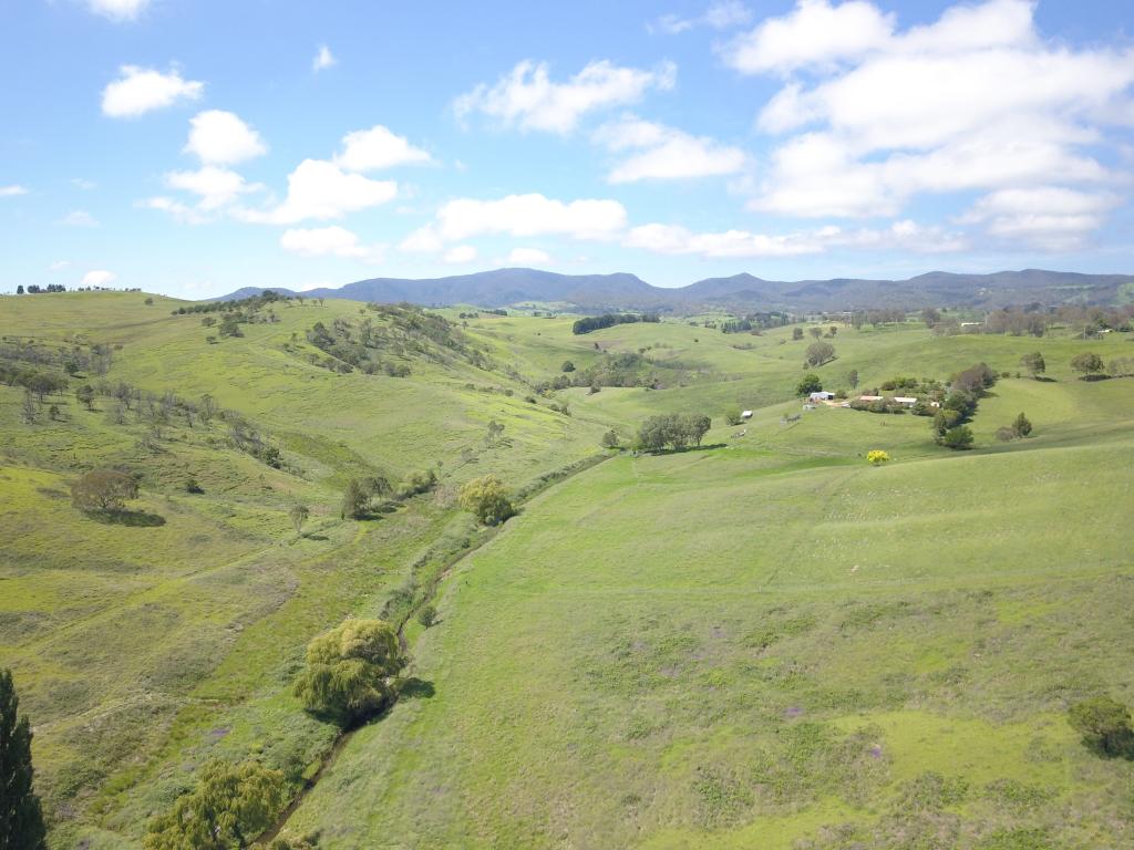 1834 Myrtle Mountain Rd, Candelo, NSW 2550