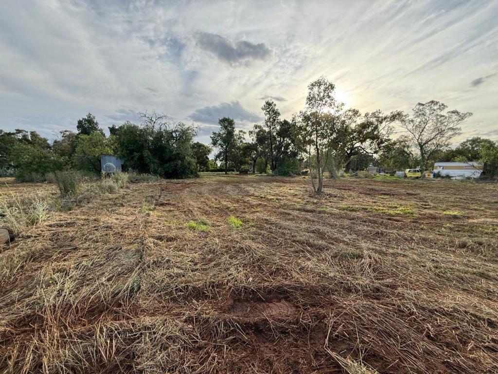 Lot 127 The Bogan Way, Gunningbland, NSW 2876