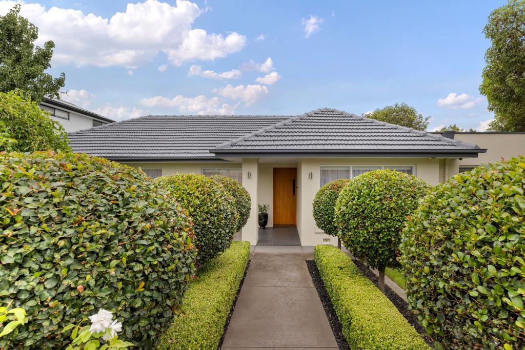 53 Avenue Rd, Payneham, SA 5070