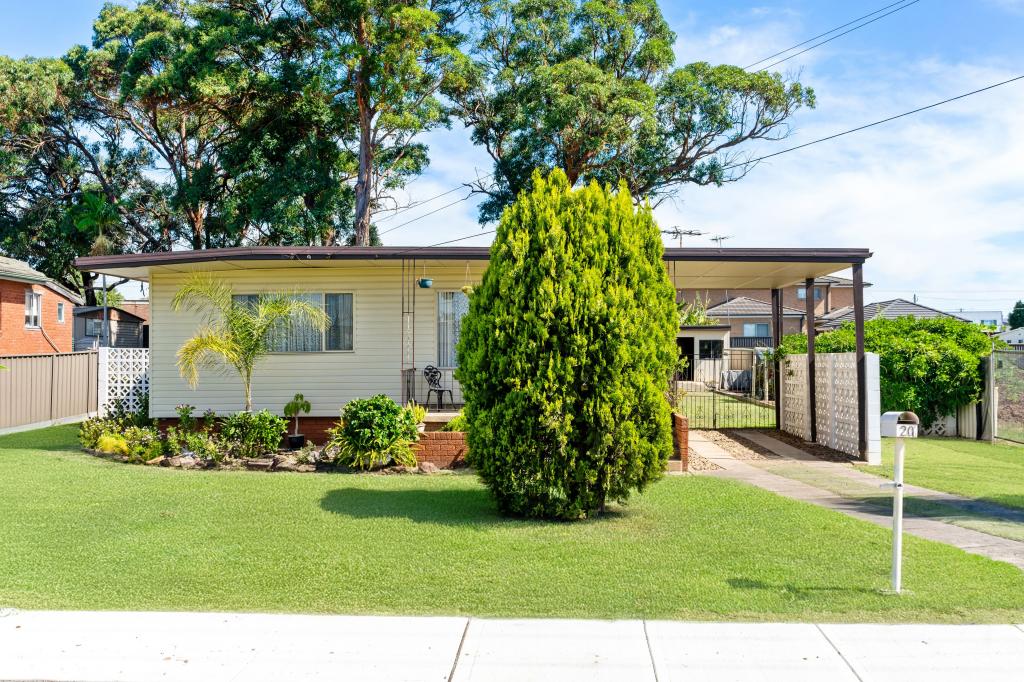 20 Jane St, Smithfield, NSW 2164