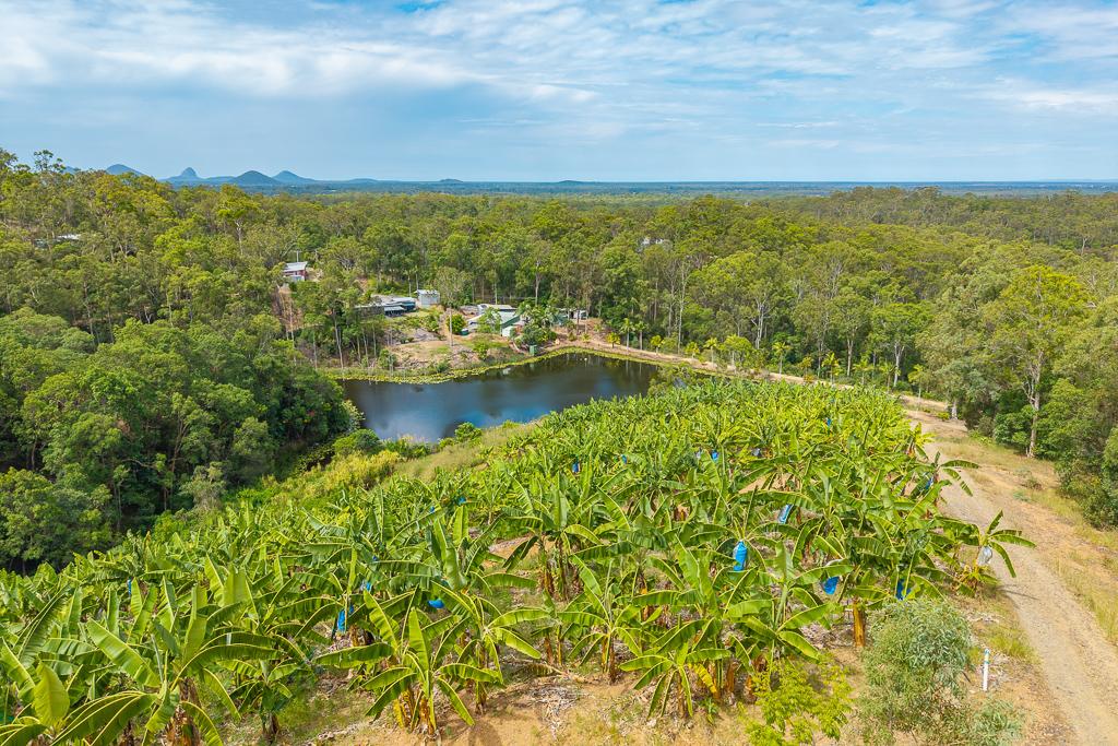 349 Jackson Rd, Wamuran, QLD 4512