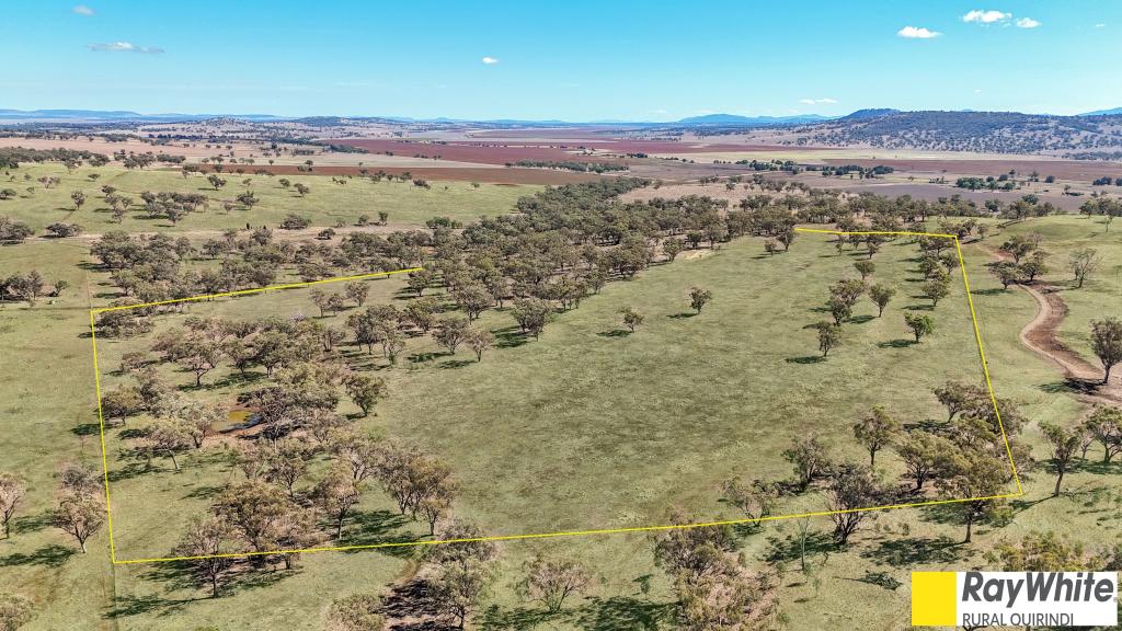981 Merriwa Road, Warrah, Willow Tree, NSW 2339