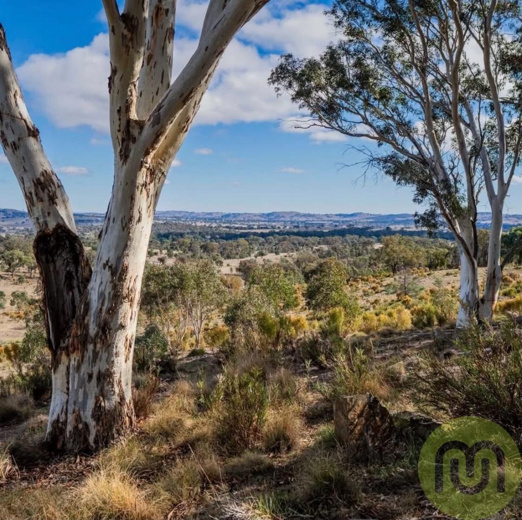 678 SHELDRICKS LANE, MANTON, NSW 2582