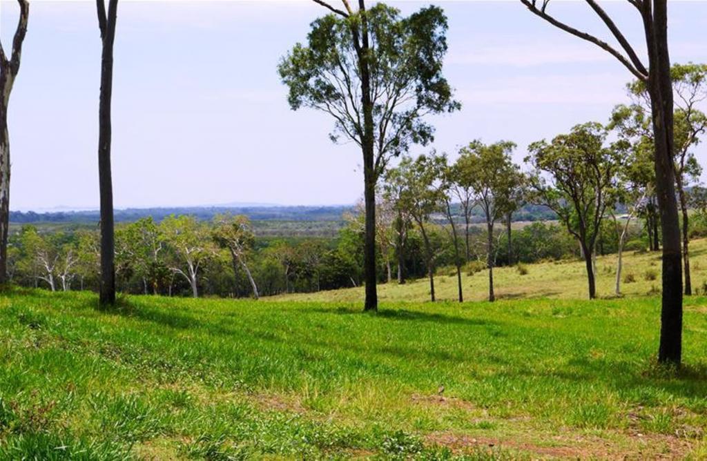 Contact Agent For Address, Sarina, QLD 4737