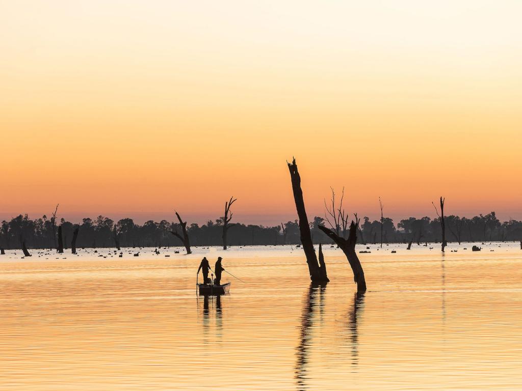 16 PETER THOMSON CCT, YARRAWONGA, VIC 3730