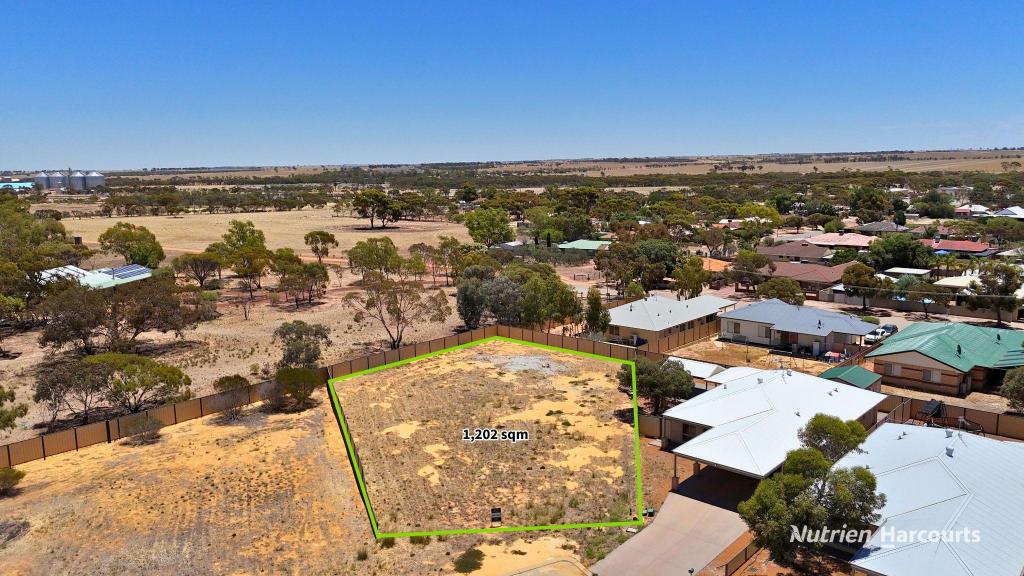 13 Carrington Way, Merredin, WA 6415