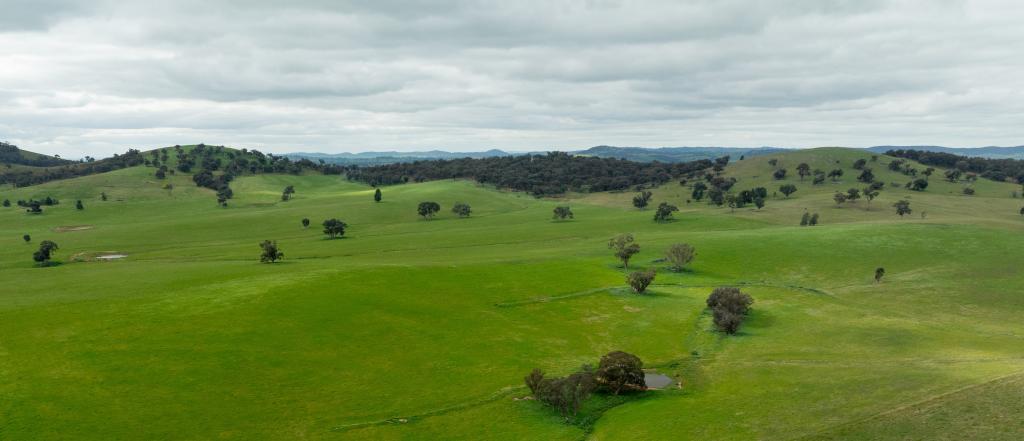 1285 Yerong Creek Mangoplah Rd, Mangoplah, NSW 2652