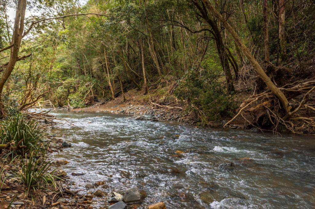 791 Little Run Rd, Wherrol Flat, NSW 2429