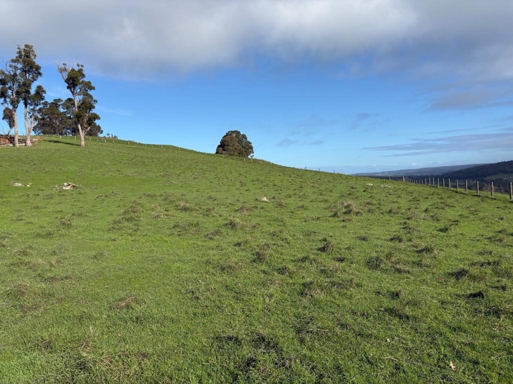 Lot 131 &/Prop  Lot Chapman & Mandalay Rd, Glen Mervyn, WA 6239