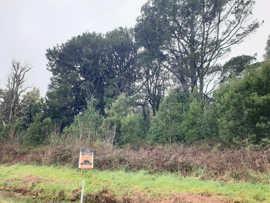 Lot 1 Beulah Rd, Beulah, TAS 7306