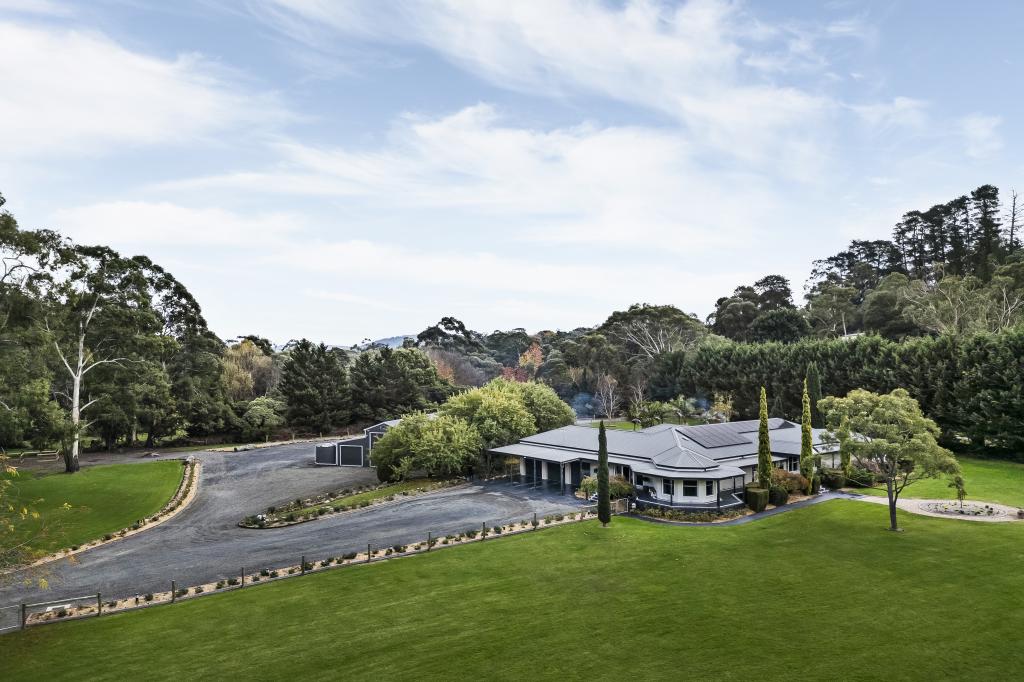 81 GRACEBURN AVE, HEALESVILLE, VIC 3777