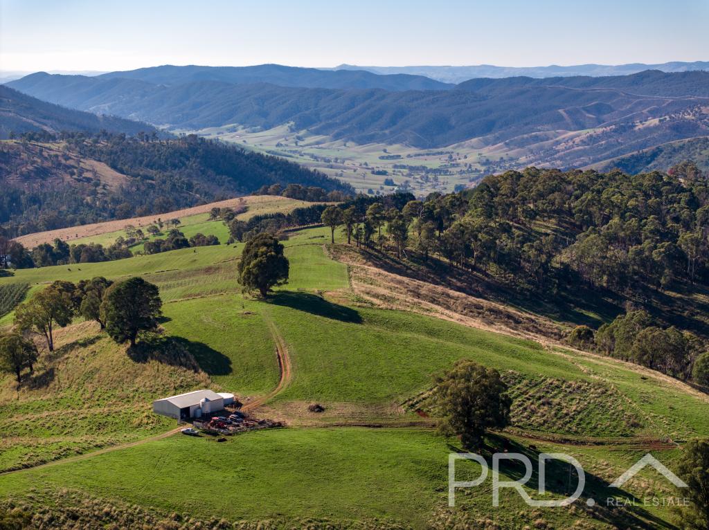 1-65 Forsters Rd, Batlow, NSW 2730