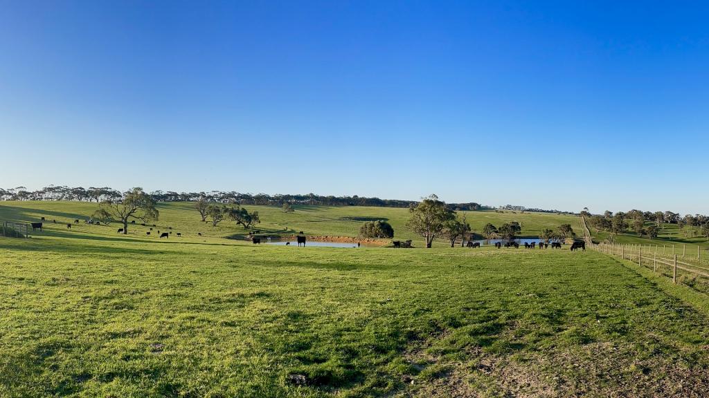 Lot 20 Cole Crossing Rd, Mount Magnificent, SA 5210