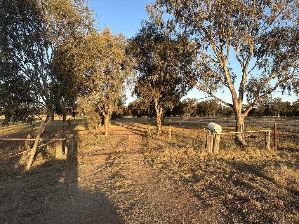 Lot 133 Troths Lane, Quandialla, NSW 2721