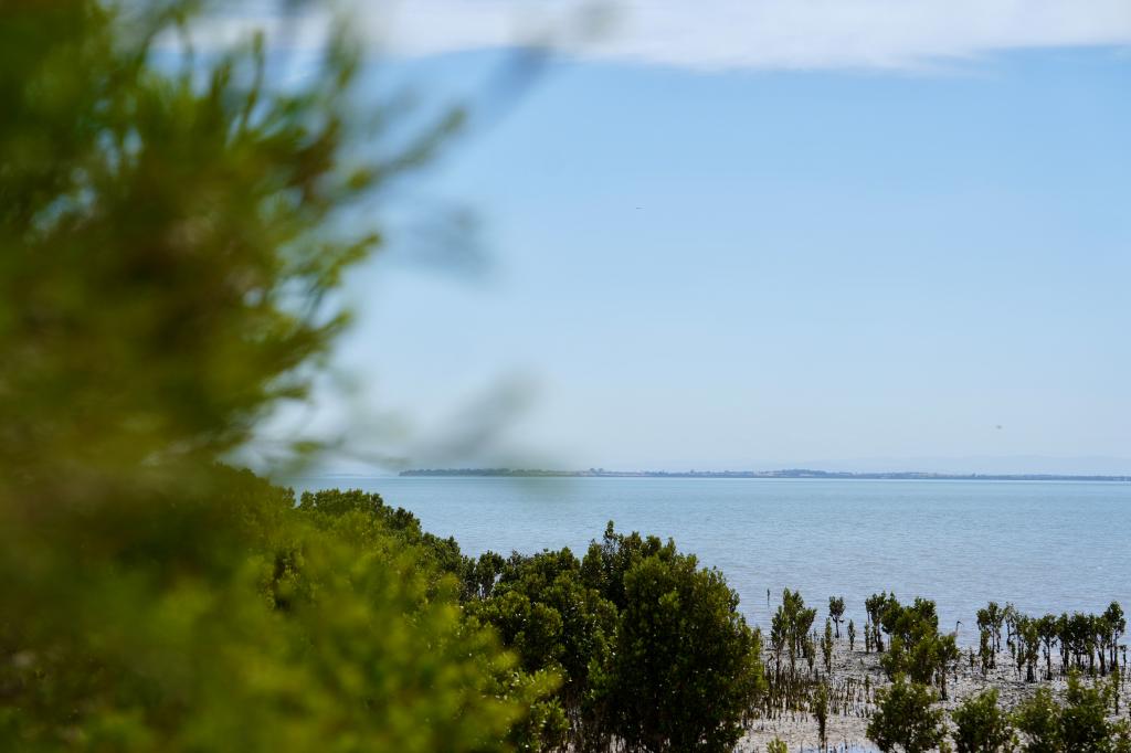 23 Blackwood Cl, Grantville, VIC 3984