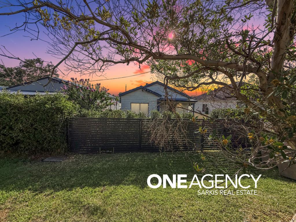 17 Mawson St, Shortland, NSW 2307