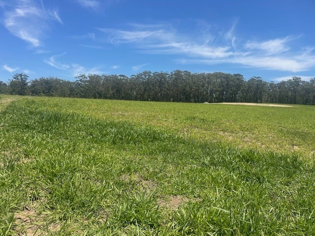 Contact Agent For Address, D'Aguilar, QLD 4514